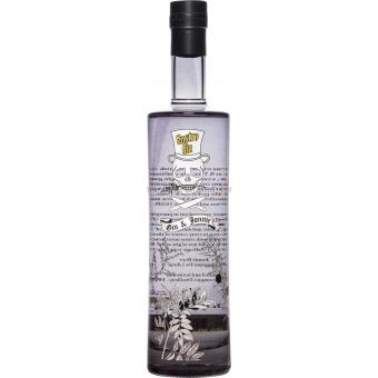 Gastro Gin & Jonnie 45° Cl.70