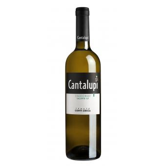 Conti Zecca Cantalupi Chardonnay Bianco